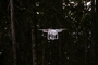 teaching:projects:drone_forest.jpg